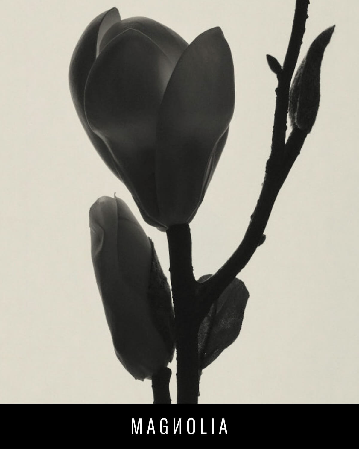 Fenty Eau De Parfum Travel Set + Refills